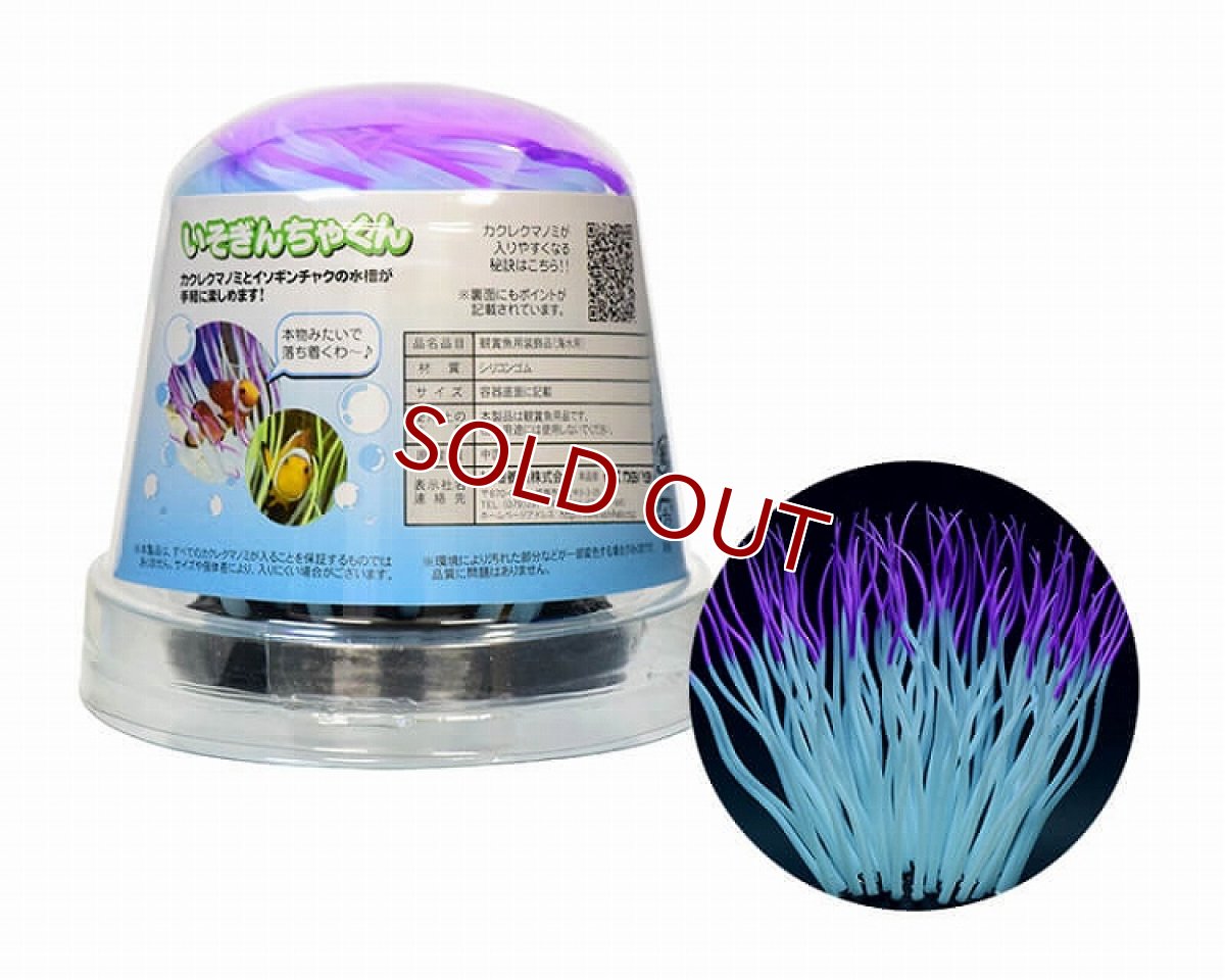 画像1: 【飼育用品・器具】カミハタ　いそぎんちゃくん　M　パープル(淡水 海水可) (1)