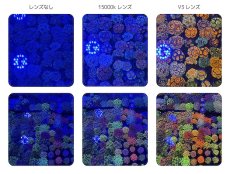 画像4: 【飼育用品・器具】ZOOX Coral Lens V3(海水用) (4)
