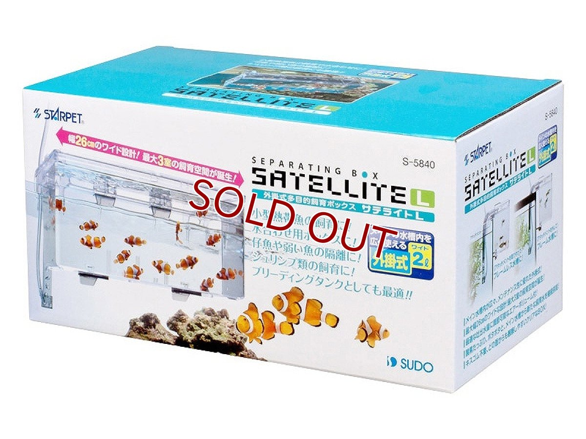 画像1: 【飼育用品・器具】【隔離箱】【スドー】 サテライトL隔離箱産卵箱(淡水 海水用) (1)