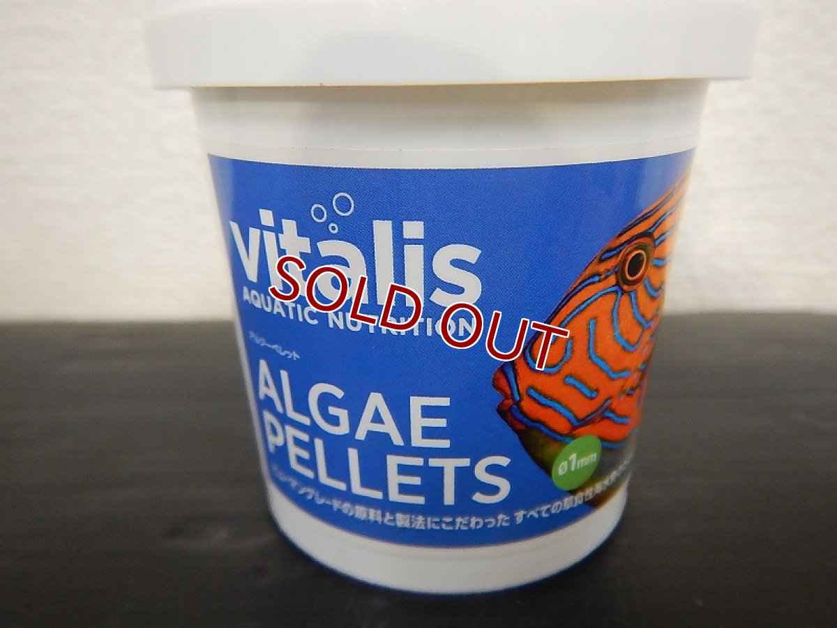 画像1: 【飼育用品・餌】 Vitalis ALGAE PELLETS 70g　バイタリス【乾燥餌】 (海水用) (1)