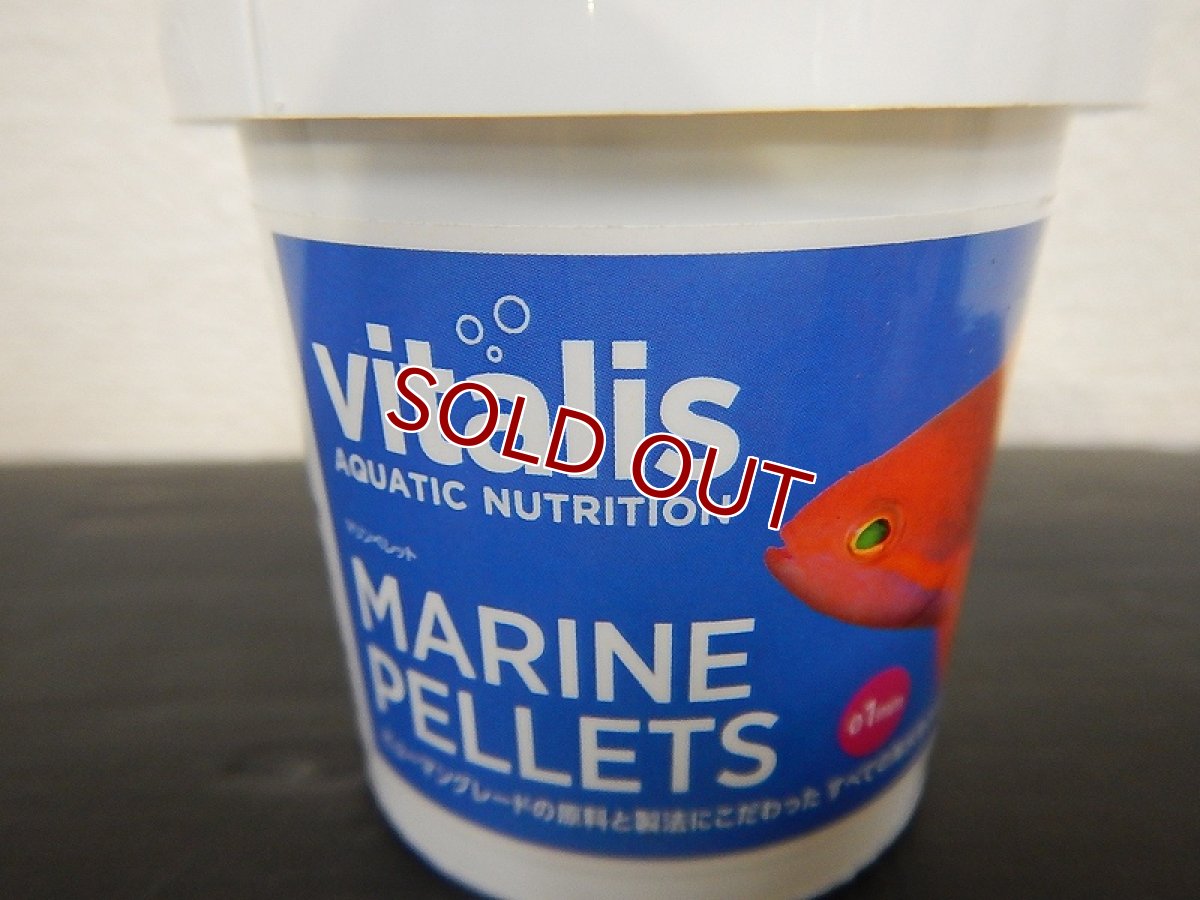 画像1: 【飼育用品・餌】 Vitalis MARINE PELLETS 70g　バイタリス【乾燥餌】 (海水用) (1)