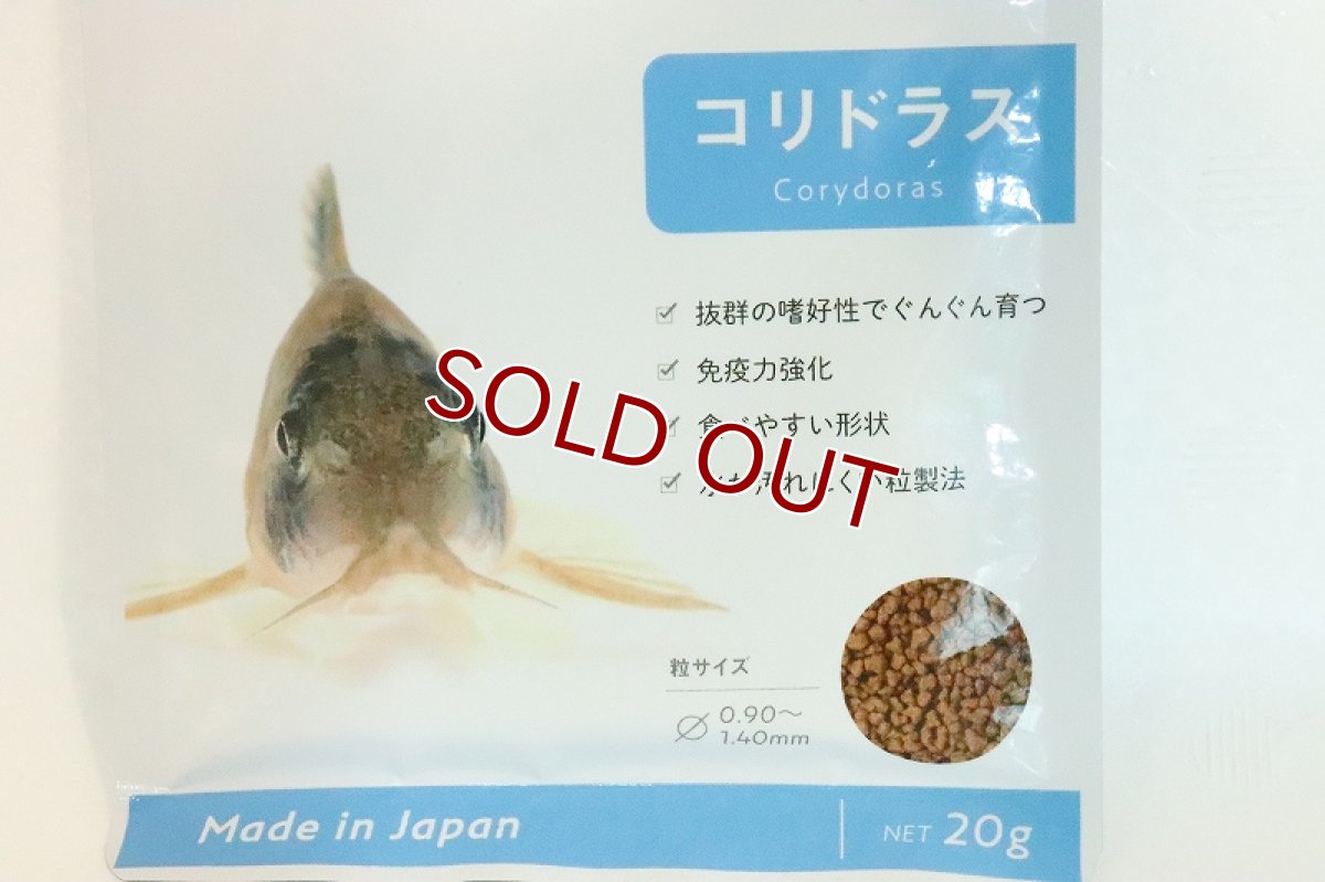 画像2: 【飼育用品】 コリドラス フード 【１個】【淡水用】 (2)