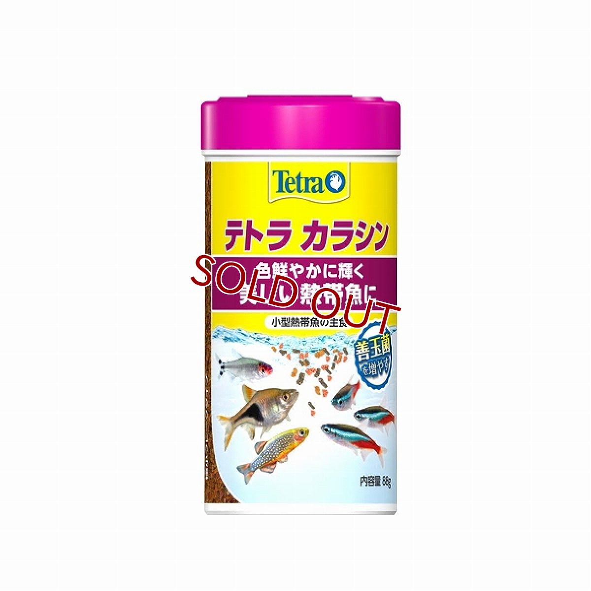 画像1: 【飼育用品】【乾燥餌】テトラ　カラシン　ベーシック　88g(淡水用) (1)