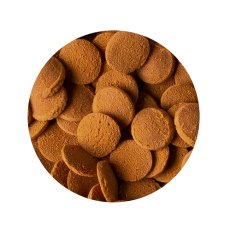 画像2: 【飼育用品・餌】 Tetra テトラ コリドラス 40g(淡水用) (2)