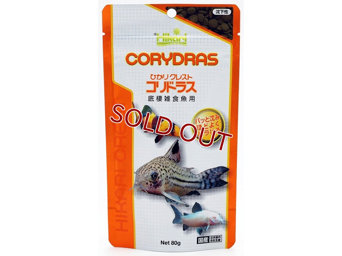 画像1: 【飼育用品・餌】 キョーリン ひかりクレストコリドラス 80g【乾燥餌】 (淡水用)(餌) (1)