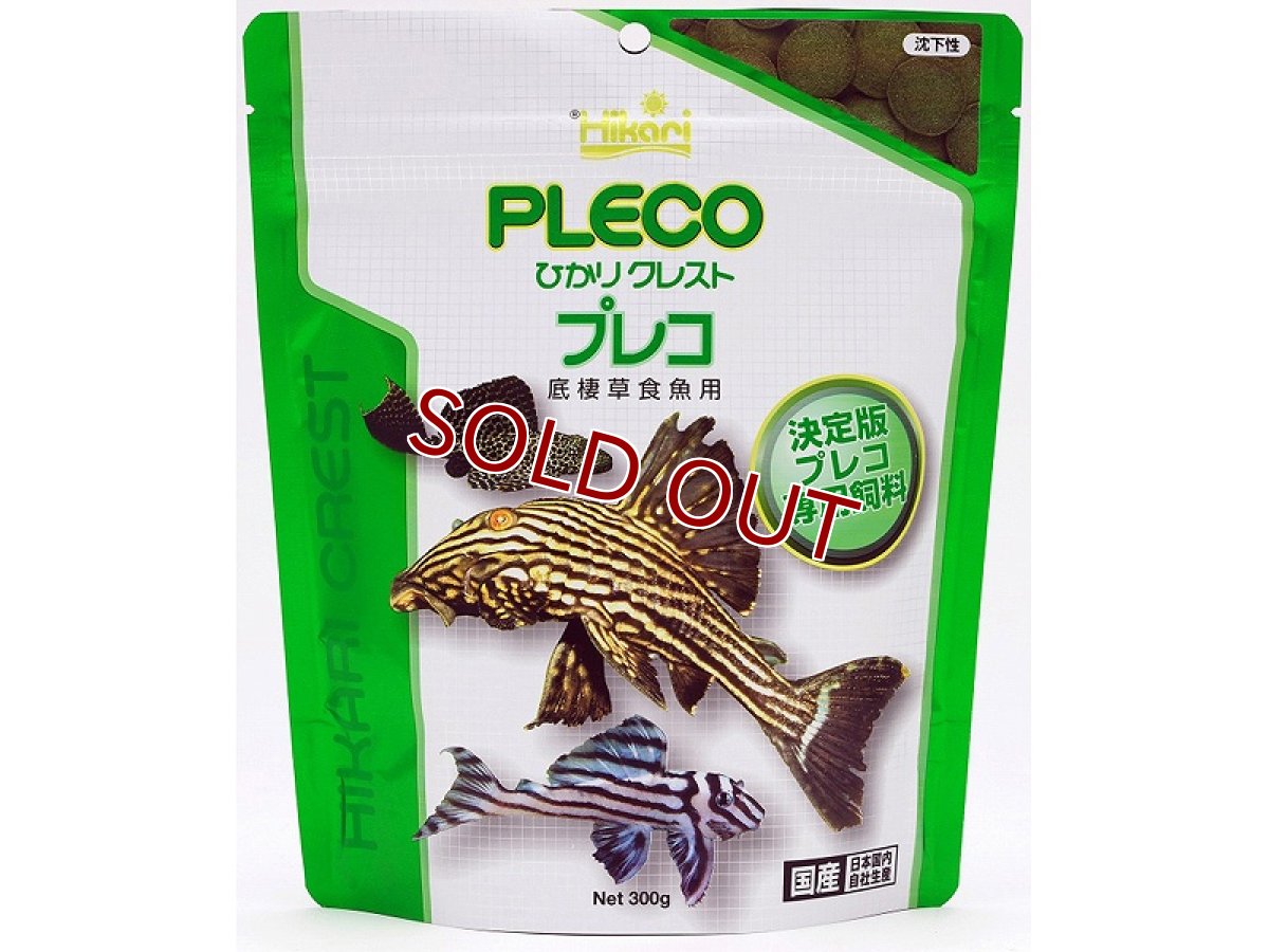 画像1: 【飼育用品・餌】 キョーリン ひかりクレストプレコ 300g【乾燥餌】 (淡水用)(餌) (1)