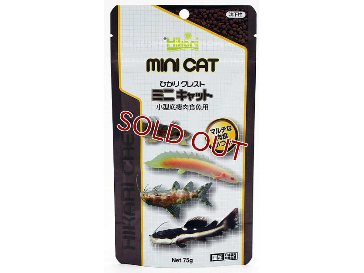 画像1: 【飼育用品・餌】 キョーリン ひかりクレストミニキャット 75g【乾燥餌】 (淡水用)(餌) (1)