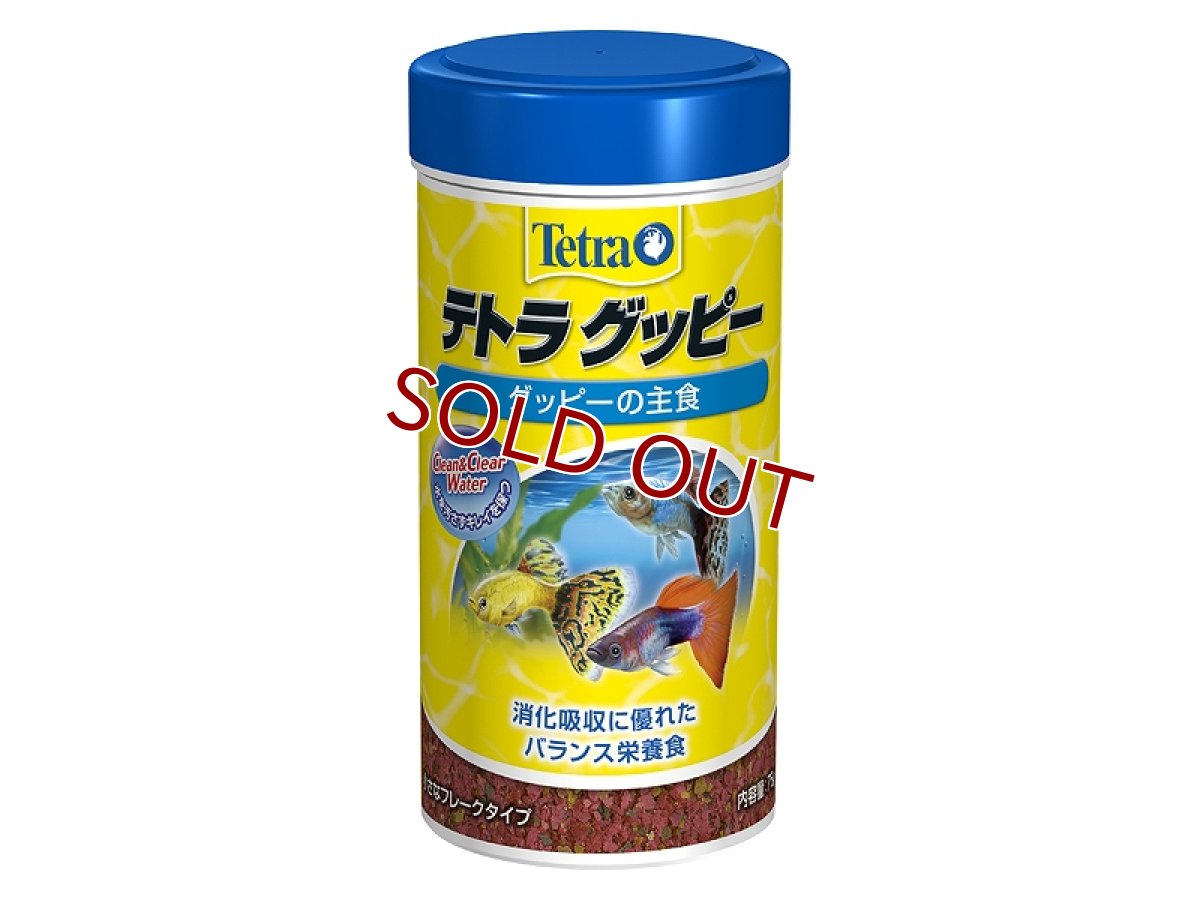 画像1: 【飼育用品・餌】 【通販】テトラ グッピー 75g【乾燥餌】 (淡水用)(餌) (1)