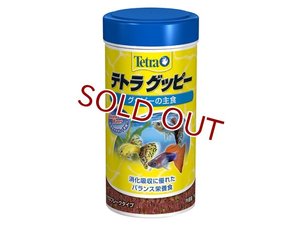 飼育用品・餌】 テトラ グッピー 75g【乾燥餌】 (淡水用)(餌) - ペット
