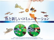 画像2: 【飼育用品・餌】 【通販】テトラ ファンチップス 165錠【乾燥餌】 (淡水用)(餌) (2)