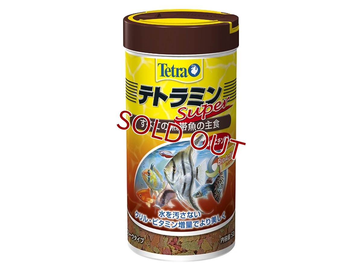 画像1: 【飼育用品・餌】 【通販】テトラミン スーパー 53g【乾燥餌】 (淡水用)(餌) (1)