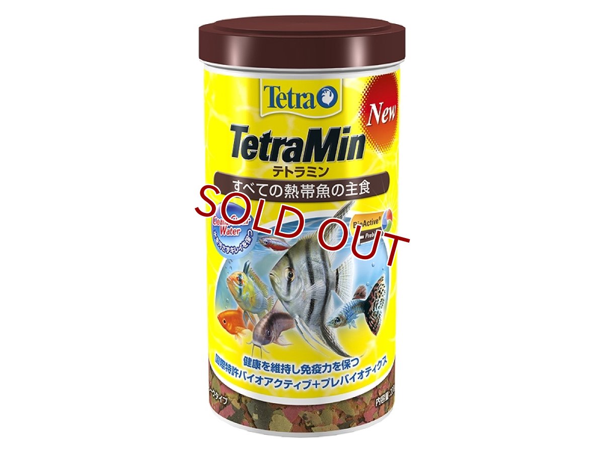 画像1: 【飼育用品・餌】 【通販】テトラミン フレーク 200g【乾燥餌】 (淡水用)(餌) (1)