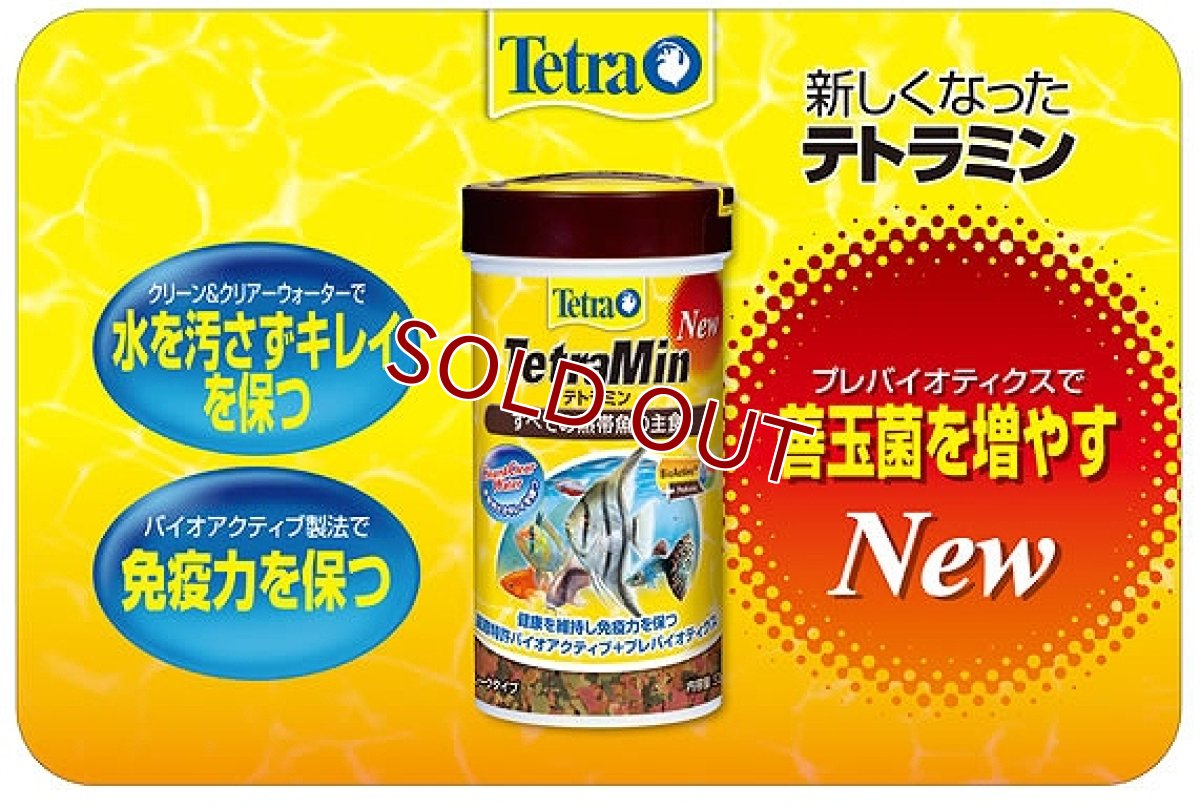画像3: 【飼育用品・餌】 テトラミン フレーク 52g【乾燥餌】 (淡水用)(餌) (3)