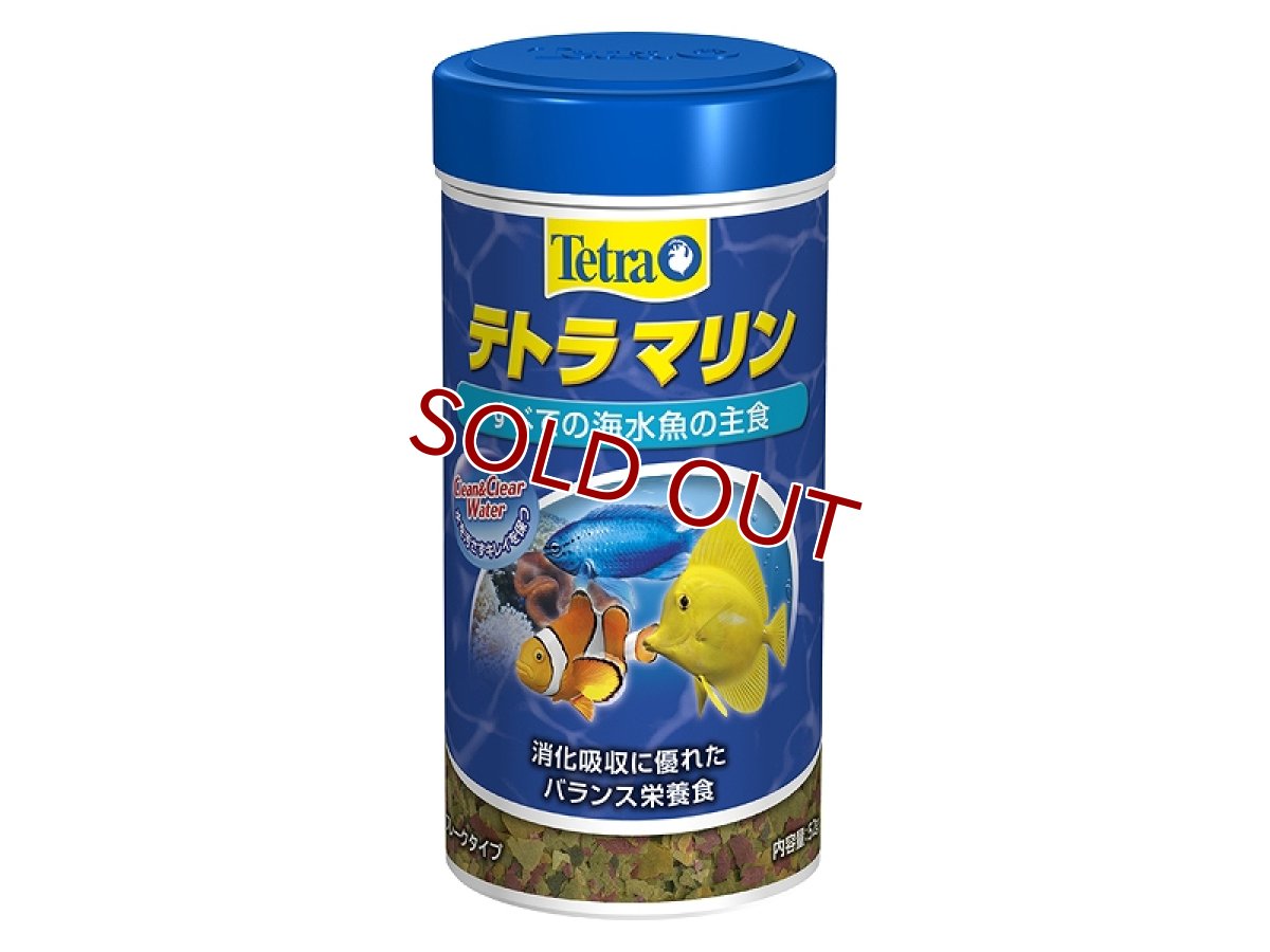 画像1: 【飼育用品・餌】 テトラ マリンフレーク 52g【乾燥餌】 (海水用)(餌) (1)