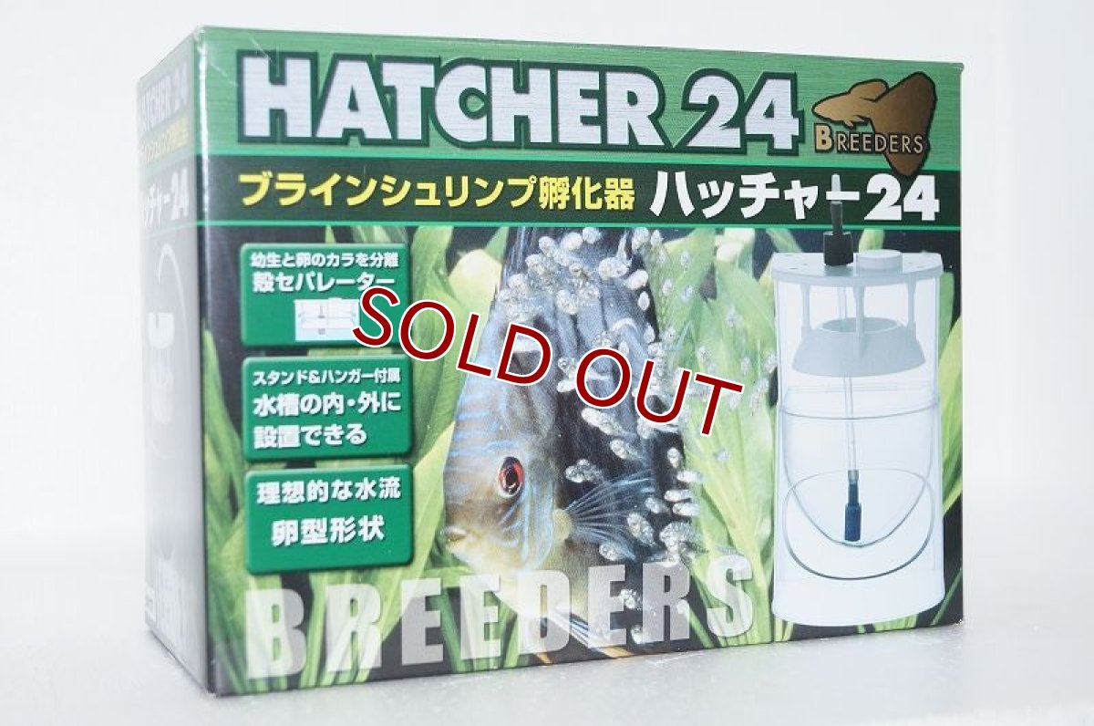 画像1: 【飼育用品・餌】 ハッチャー24　【ブラインシュリンプ孵化機】 (淡水海水用) (1)