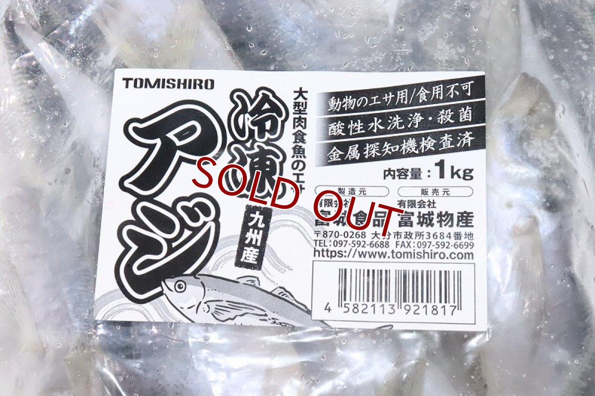 画像2: 【冷凍餌】【通販】冷凍アジ 大【1kg】【冷凍エサ】 (2)