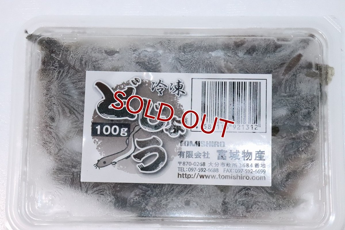 画像1: 【冷凍餌】【通販】冷凍どじょう【100g】【冷凍エサ】 (1)