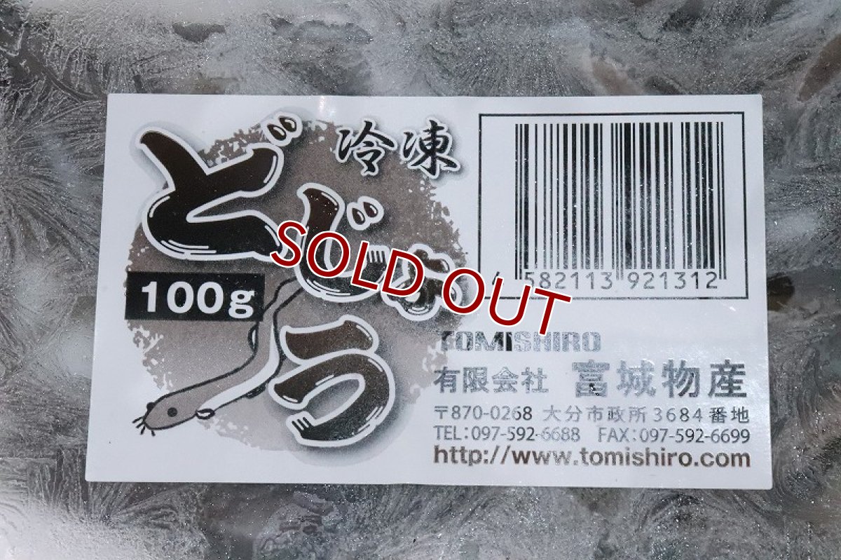 画像2: 【冷凍餌】【通販】冷凍どじょう【100g】【冷凍エサ】 (2)
