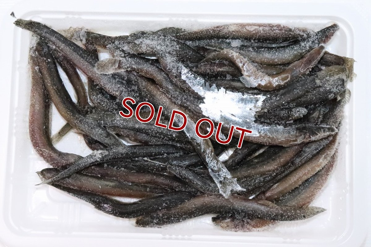 画像3: 【冷凍餌】【通販】冷凍どじょう【100g】【冷凍エサ】 (3)