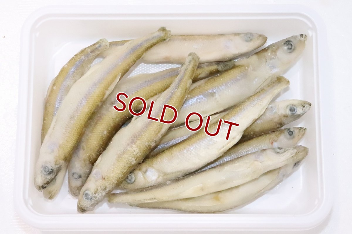 画像3: 【冷凍餌】【通販】冷凍ワカサギ【100g】【冷凍エサ】 (3)