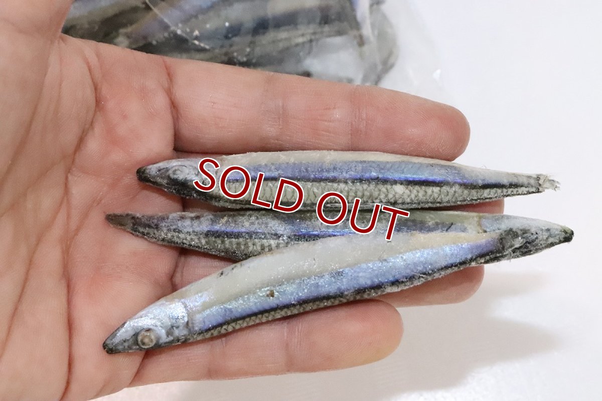 画像3: 【冷凍餌】【通販】冷凍きびなご【500g】【冷凍エサ】 (3)