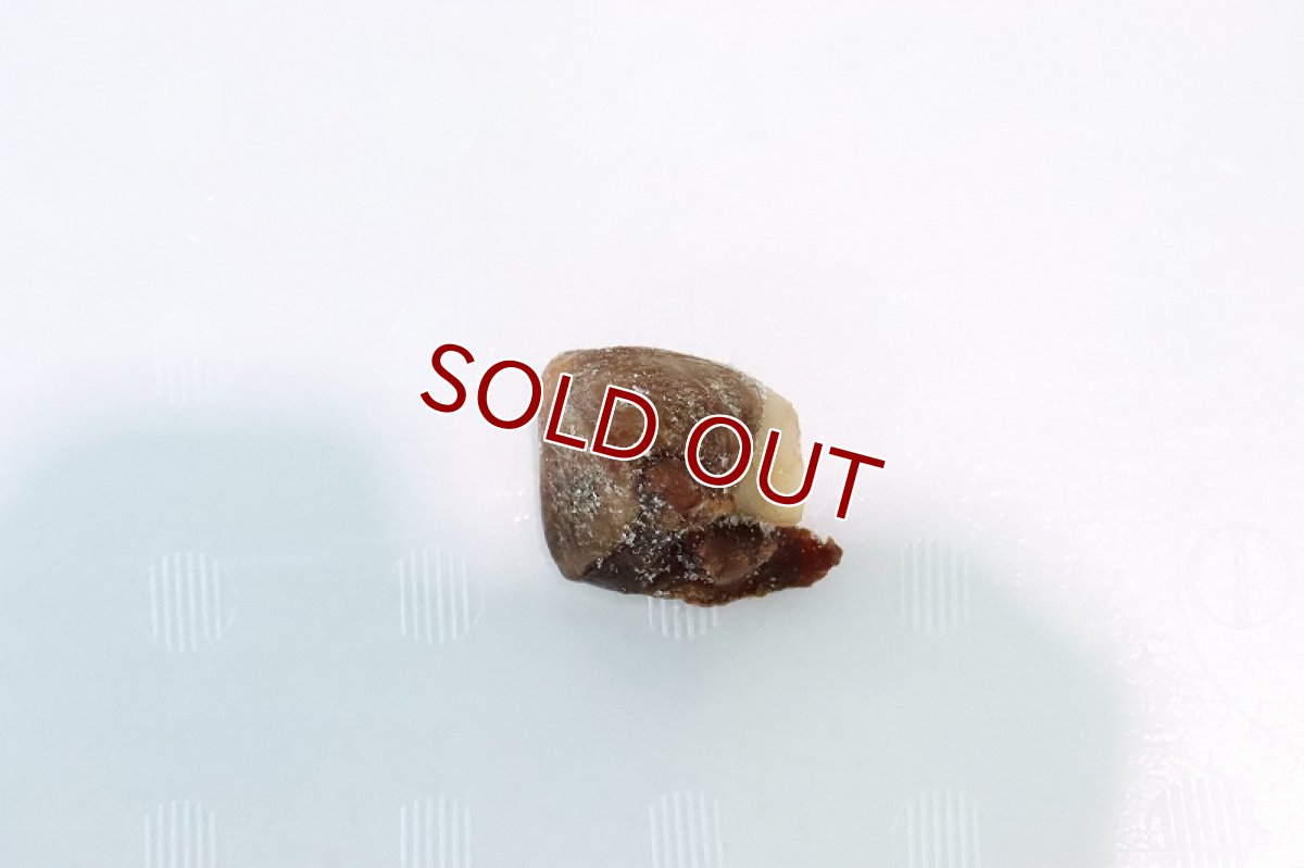 画像2: 【冷凍餌】【通販】冷凍 ブリハツ【100g】【冷凍エサ】 (2)