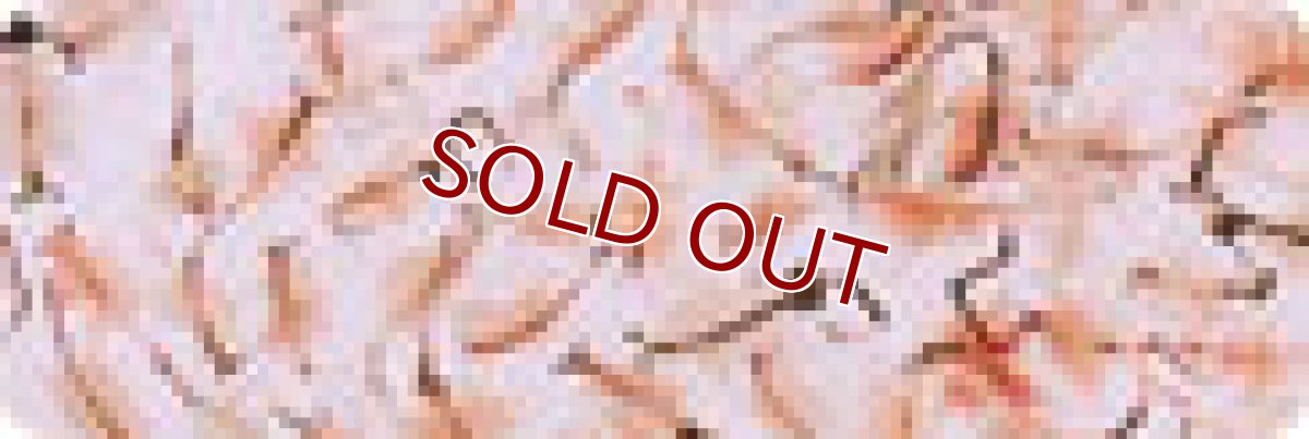 画像2: 【飼育用品・餌】 クリーン ブラインシュリンプ 100g/1枚【冷凍餌】 (淡水海水用)(餌) (2)