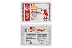 画像1: 【飼育用品・餌】 【通販】クリーンみじんこ 100g/1枚【冷凍餌】 (淡水海水用)(餌) (1)