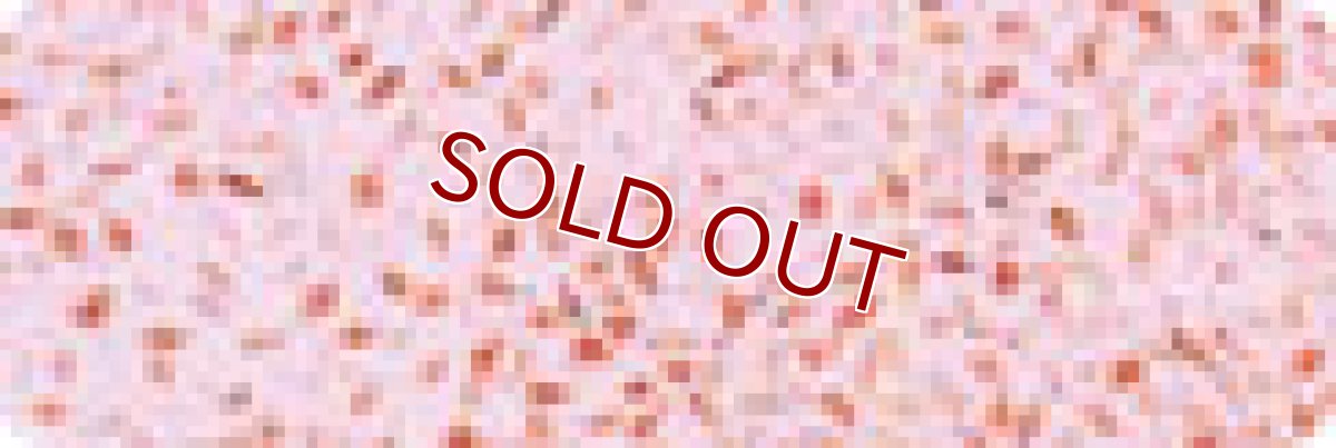 画像2: 【飼育用品・餌】 クリーンみじんこ 100g/1枚【冷凍餌】 (淡水海水用)(餌) (2)