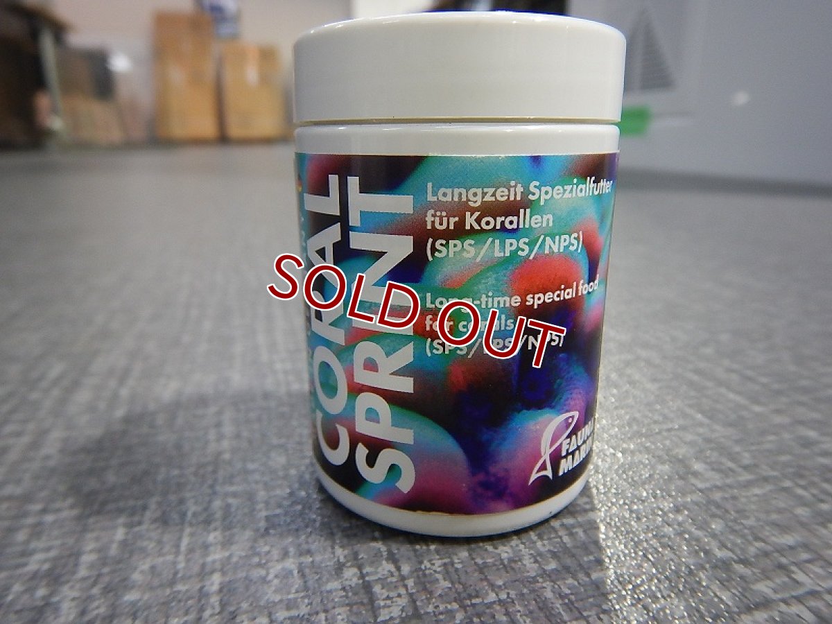 画像1: 【飼育用品・サンゴ餌】 ＦａｕｎａＭａｒｉｎCORAL　SPRINT　70ｇ　ファウナ【コーラルフード】 (サンゴ用) (1)