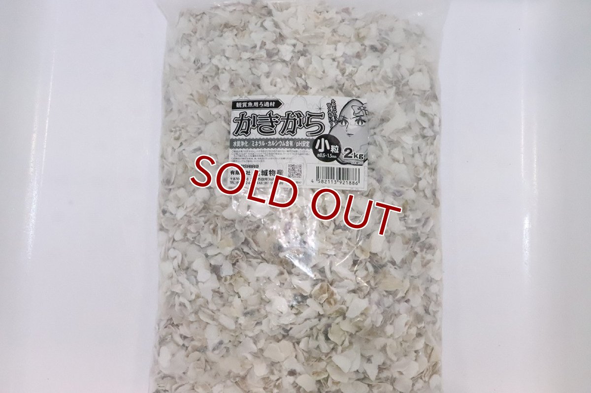 画像1: 【飼育用品 水質調整】かきがら 小粒【2kg】【ろ過材】 (1)