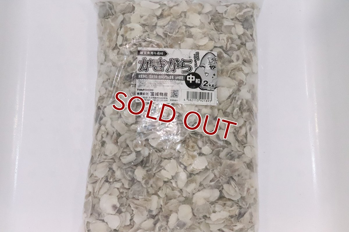画像1: 【飼育用品 水質調整】かきがら 中粒【2kg】【ろ過材】 (1)