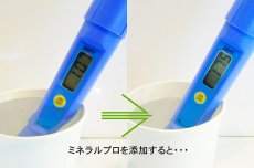 画像3: 【飼育用品・添加剤】【通販】ミネラルプロ(250g) 2個セット(淡水用)(添加剤) (3)