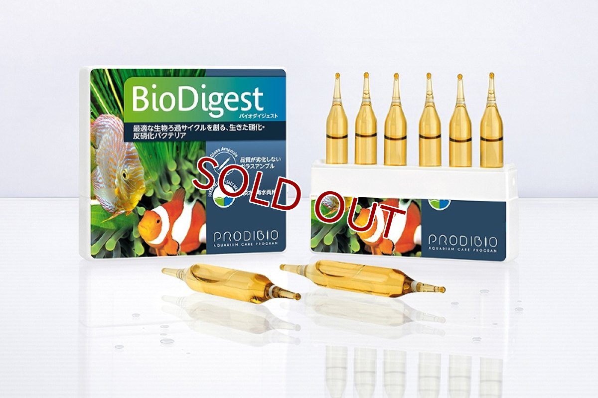 画像1: 【飼育用品・バクテリア】 バイオダイジェスト 6本入り(海水用)(バクテリア) (1)