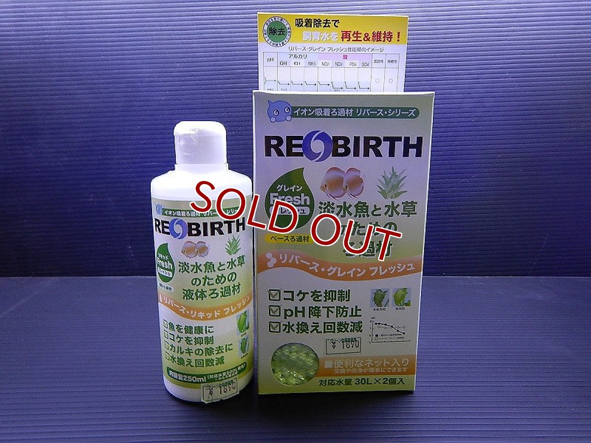 画像1: 【飼育用品・添加剤】【通販】リバース・グレイン フレッシュ 200cc×2(60L対応) & リバース・リキッド フレッシュ 250ml【吸着剤】 (淡水 水草用) (1)