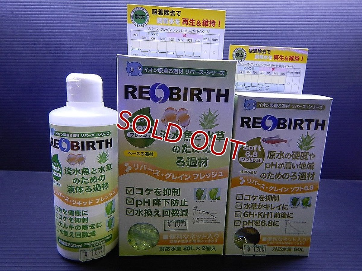 画像2: 【飼育用品・添加剤】 リバースグレイン フレッシュ 200cc×2& リキッド フレッシュ 250ml & グレイン ソフト6.8 100cc【吸着剤】 (淡水 水草用) (2)