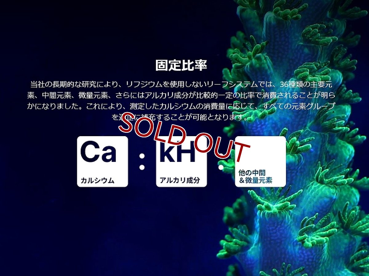 画像8: 【サンゴ用添加剤】RedSea(レッドシー) コンプリートリーフケア   ミディアム4本セット サンゴ用カルシウム微量元素添加剤 (8)