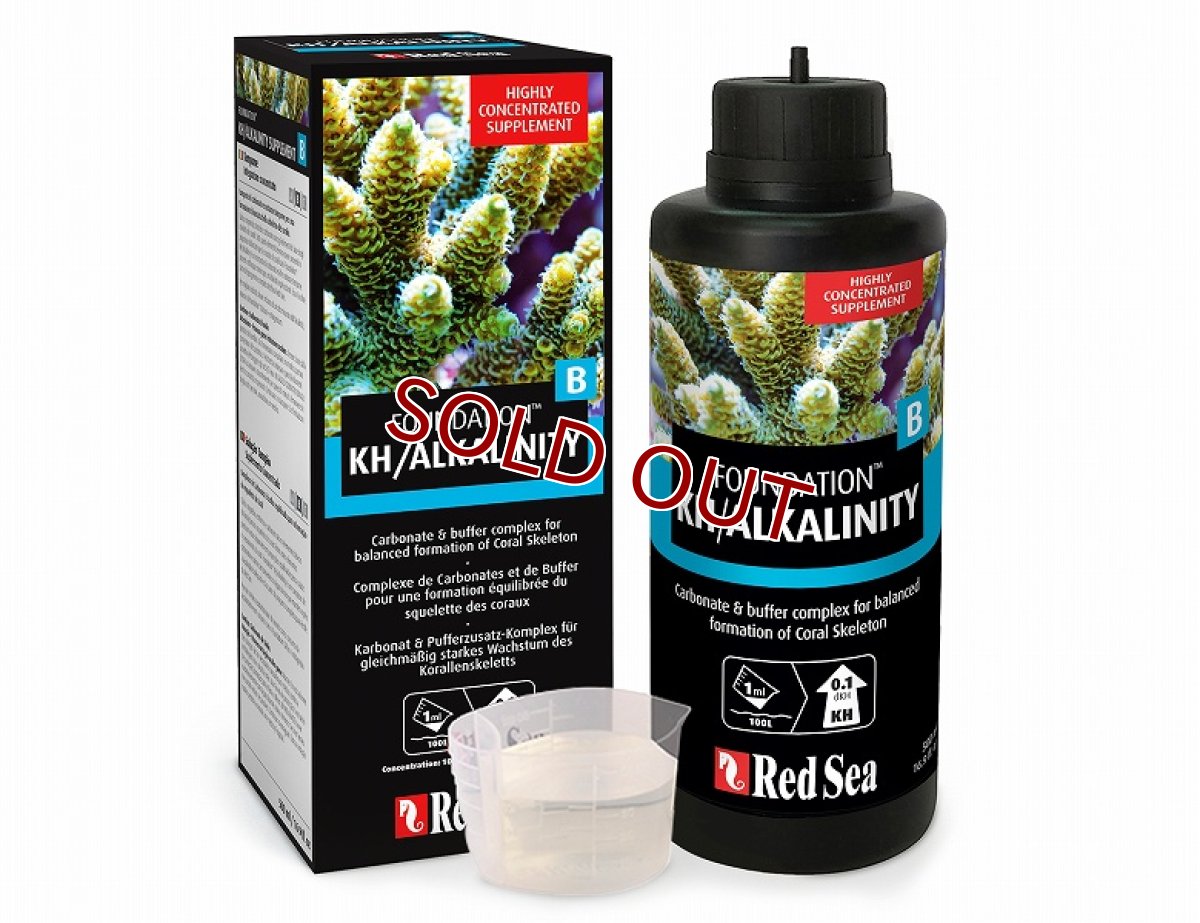 画像1: 【飼育用品・添加剤】 RedSea(レッドシー) リーフファンデーションB(Alk)  パウダー状 1kg【添加剤】 (海水用)(サンゴ用) (1)