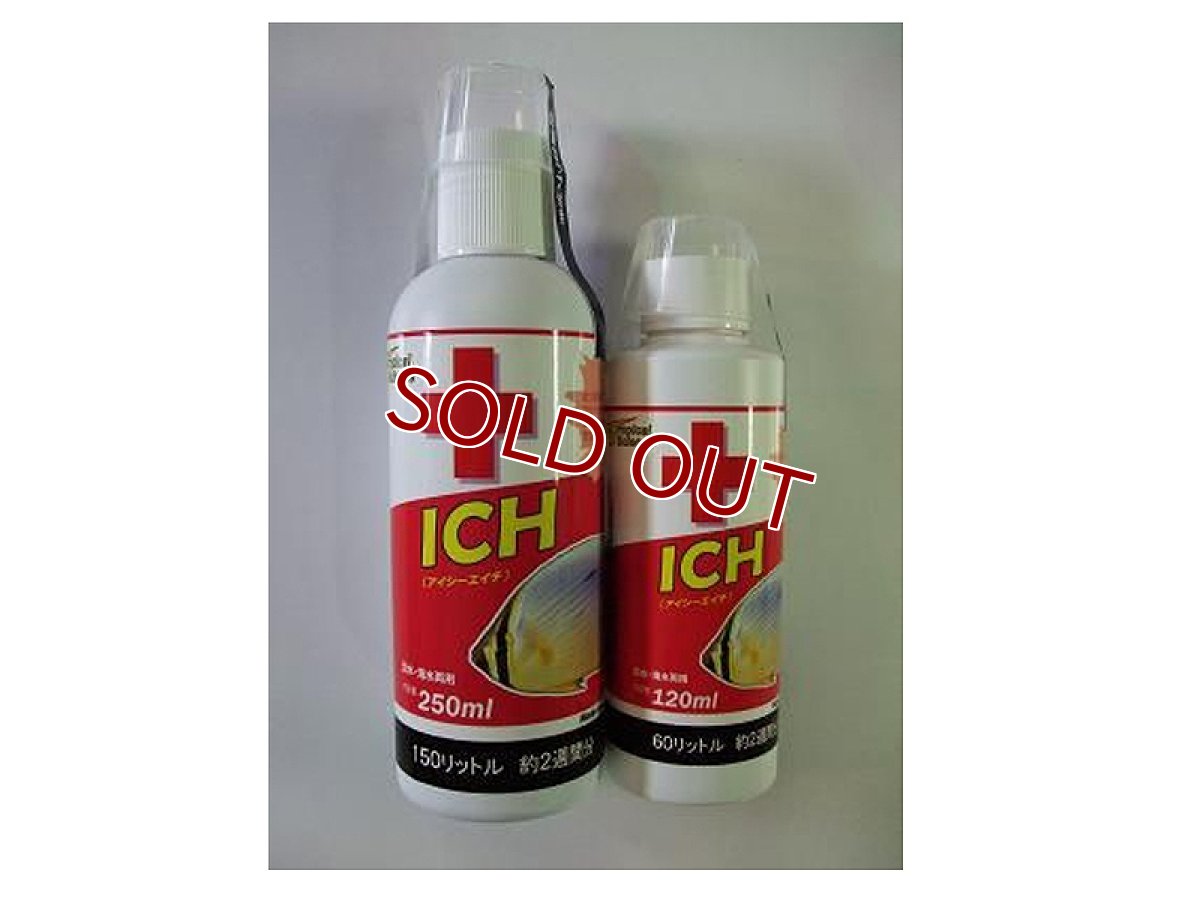 画像1: 【飼育用品・駆除剤】【通販】【取り寄せ商品】 AQUA GEEK ICH 500ml 淡水・海水 白点病駆除 (1)