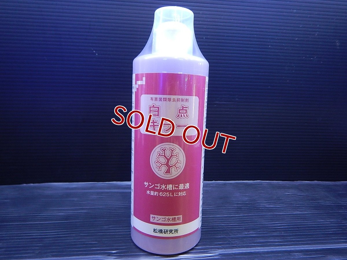 画像1: 【飼育用品・添加剤】 白点キラー サンゴ水槽 500ml 　松橋研究所【駆除剤】 (海水用)(サンゴ用) (1)