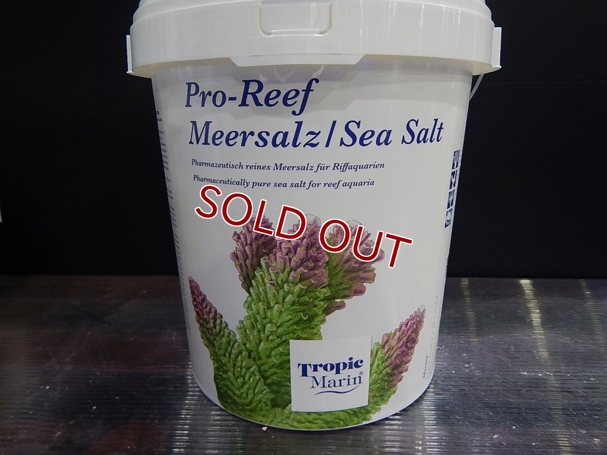 画像1: 【飼育用品】【通販】Tropic Marin PRO-REEF SEA SALT 25kg  750L【人工海水】 (1)