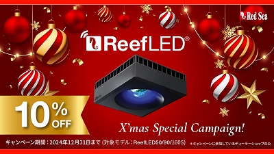 ADAリリィパイプV(吸水用) V-3 φ13 ③ ADA とどまら リリィパイプ P-2