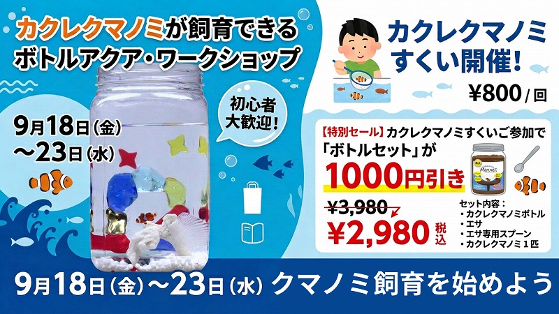 クマノミワークショップ