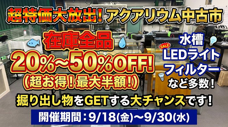 中古市