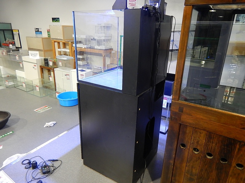 リユース品 ガラス水槽セット レッドシーマックスe170特典付き 店頭受け渡し限定 熱帯魚 中古 アクアリウム用品 ペットバルーン ネットショップ