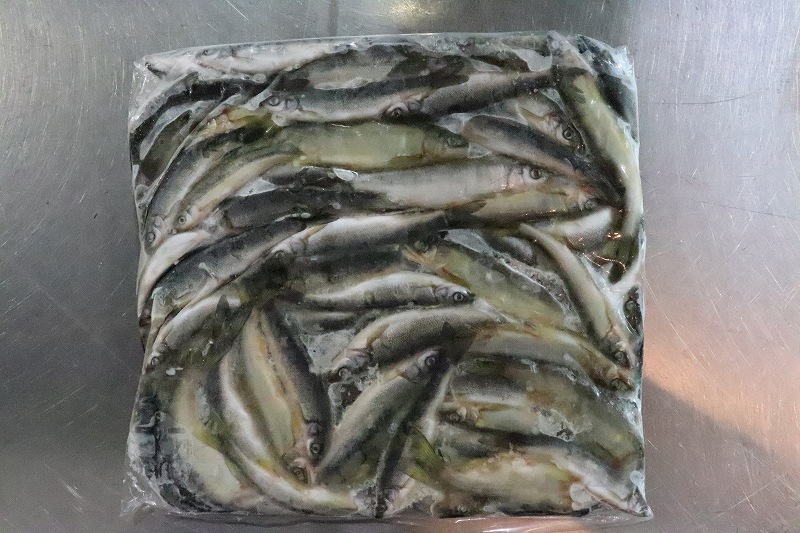 淡水魚 お得パック 冷凍川魚ミックス サンプル画像 1kg 生体 冷凍エサ 熱帯魚 ペットバルーン ネットショップ