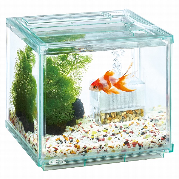 飼育用品・器具】【セット水槽】金魚元気ぶくぶくクリア 200CUBE 飼育用品・器具】【セット水槽】金魚元気ぶくぶくクリア 200CUBE