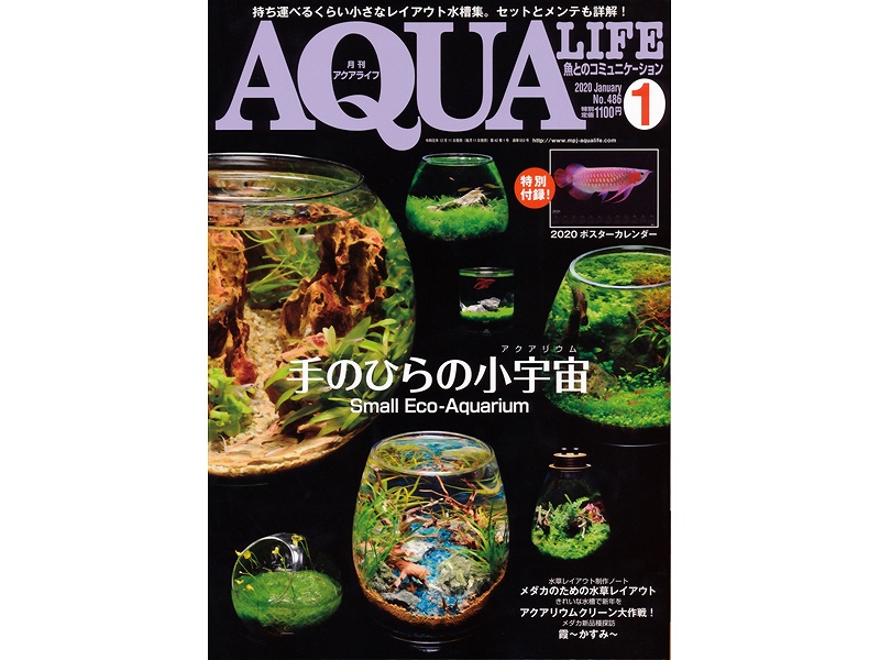 73%OFF!】 アクアライフ 1988年1月鑑賞魚本